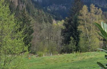 Vacances zen en montagne - Foto 2