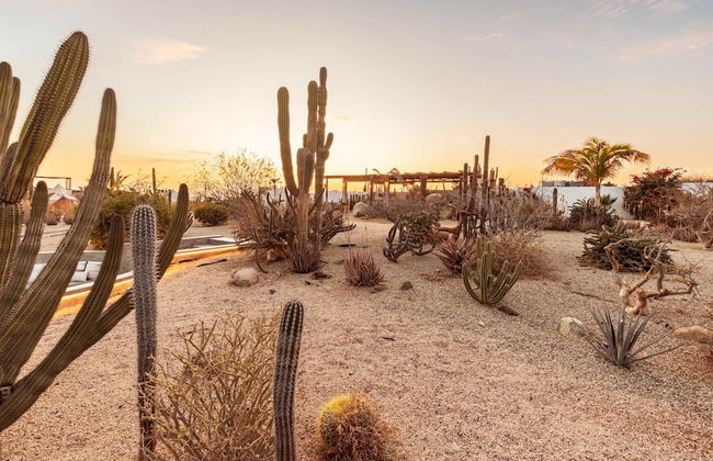 Hidden Leaf Baja Estate - Foto 4