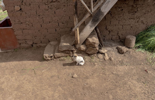 Andean Glamping - Foto 2