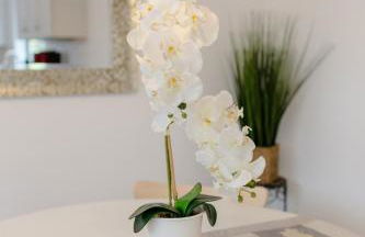 Charming Sonoma Cottage 2BD and 2BA Close to Plaza - Foto 10