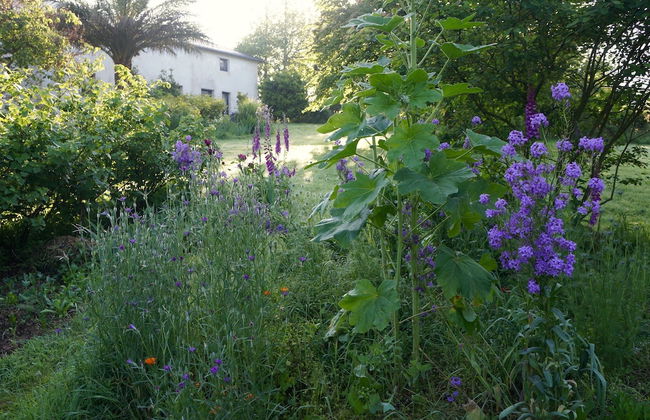 Apartamentos La Collada - Photo 48
