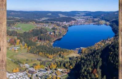 Vogelnescht19 - Foto 30