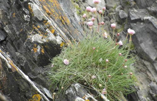 Les Hirondelles de la Baie - Foto 32