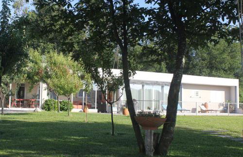 Manuel Tiago Pereira - Foto 13