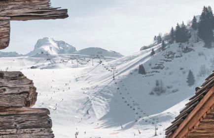 Chalet la Cabane d'Ernestine, petit-déjeuner inclus - Foto 75