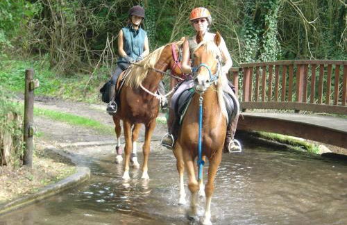 Authentique Maison Normande de village - Foto 39