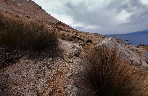 Apartmani Milena - Foto 72