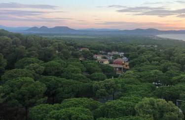 NUEVO. Reformado con vistas panorámicas y piscina - Foto 12