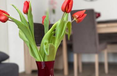 Hotel Am Schlosspark - Foto 20