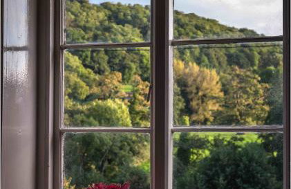 Owlpen Manor Cottages - Foto 33