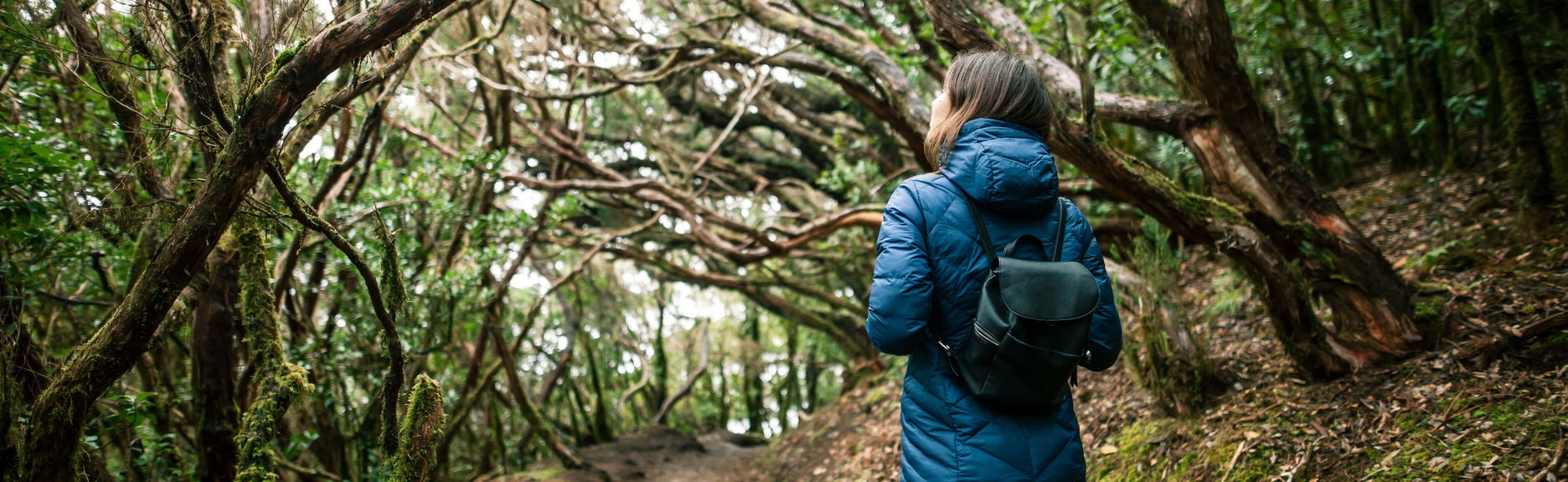 Senderismo por el Parque Rural de Anaga