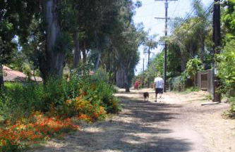 Beach Breeze Bungalow 1 Miles To Beach Cozy - Foto 34