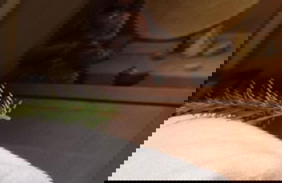 Fontes Episcopi - Photo 51