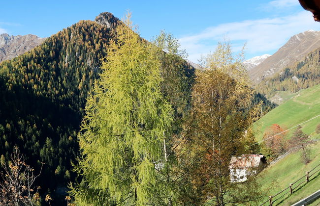 Piz Munschuns - Foto 22