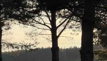 Tiny house in the forest - Foto 4