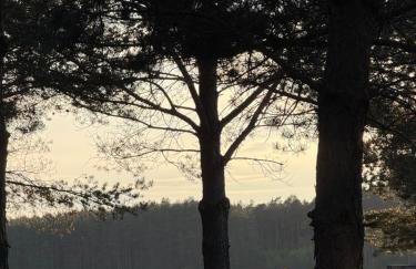 Tiny house in the forest - Foto 4