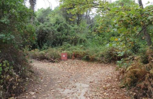 Spacious Villa close to an amazing Sithonia beach - Foto 33