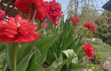 Apartamenty Leszczynowa 7 blisko Zatora - Foto 41