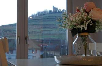 Penthouse Burgblick mit Dachterrasse - Photo 8