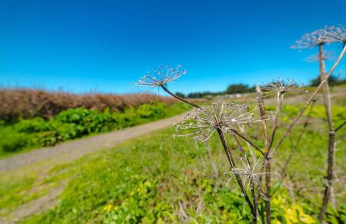 Wild Meadow - Photo 36