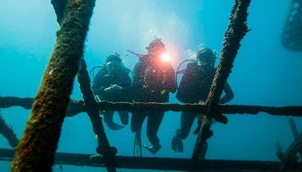 PADI Open Water Diver Course