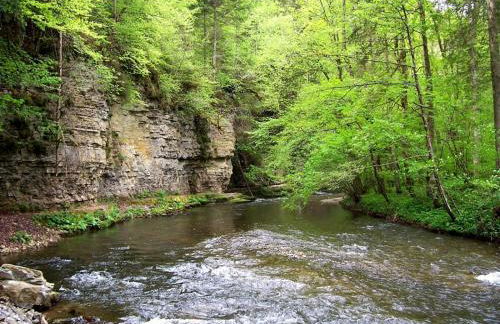 Tiny House Village Löffingen - Foto 31