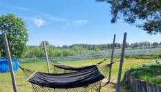 W ładnym polu n1 - Foto 2