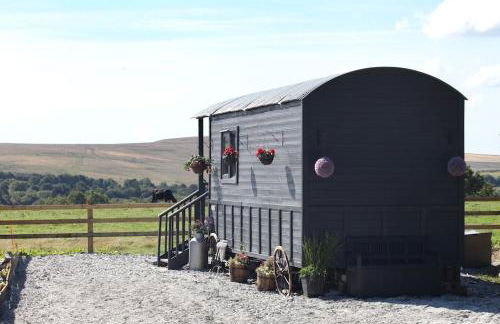 The Cloves Farm Shepherd’s Hut - Foto 1