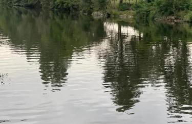 Maison familiale avec terrasse à Vieille-Brioude - Foto 18