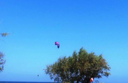 Alexandra Homestay - Foto 76