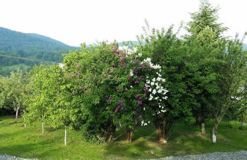 Watra apartamenty - Foto 9