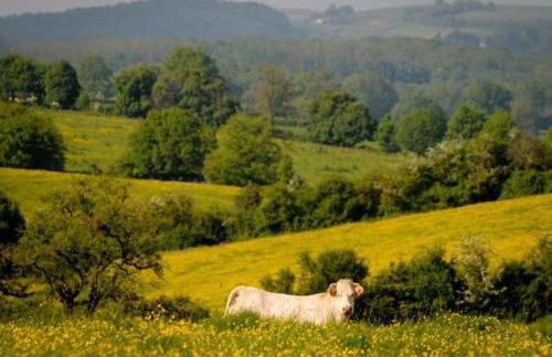 Country House Near Parc du Morvan With Pool - Photo 74