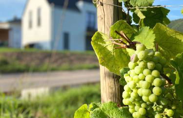 Haus im Weinberg - Foto 31