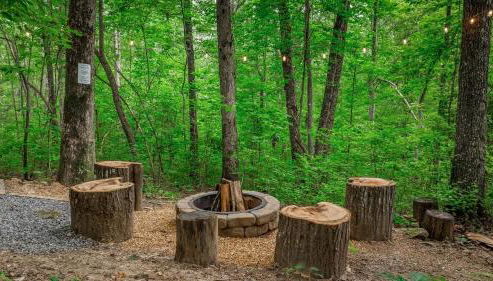Peaceful Hideaway Treehouse near Little River Canyon - Foto 3