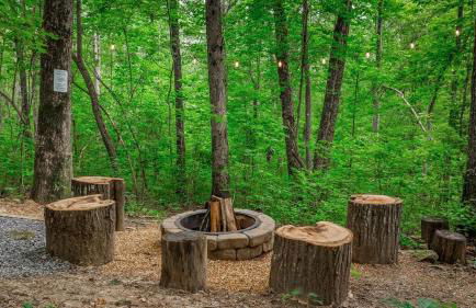Peaceful Hideaway Treehouse near Little River Canyon - Foto 3