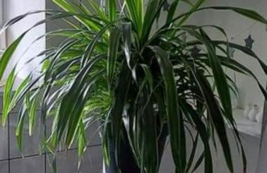 Apartment Dietze - Foto 21