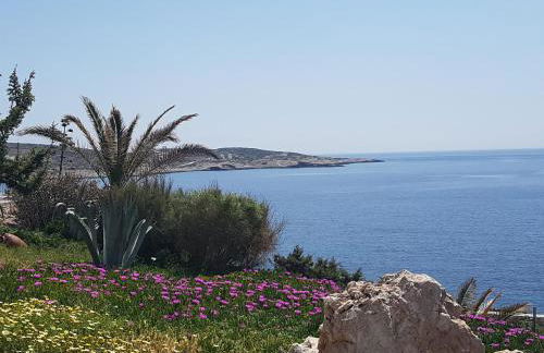 Akrogiali studios - Photo 62