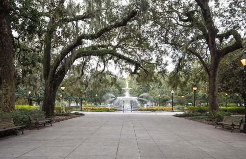 Lynwood Collection on Forsyth 12B by Lucky Savannah - Foto 53