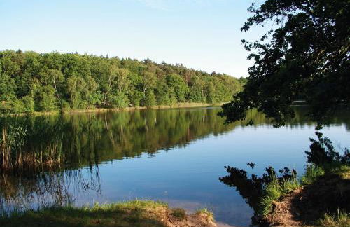 Finnhütten Waldesruh - Foto 33