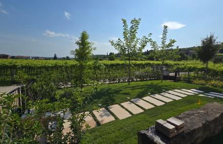 Agriturismo Igino - Relax fra i Vigneti della Valpolicella - Foto 12