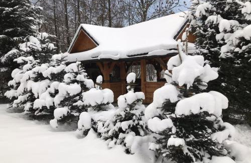 Domek Nad Rozlewiskiem z kominkiem - Foto 25