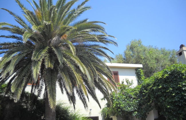 Agriturismo Su Tiresi - Foto 62