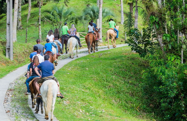 Hotel Fazenda Dona Francisca - Foto 43