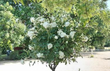 Domaine des Cerisiers - Piste cyclable reliant Honfleur - Parking privé & grand jardin - Foto 29