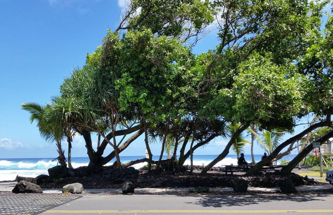 Hale Ola Aina 2 Bedroom Home by RedAwning - Photo 17