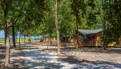 Agriturismo Tenuta Regina - Glamping luxury lodges and apartments - Photo 5, Garden