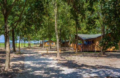 Agriturismo Tenuta Regina - Glamping luxury lodges and apartments - Photo 5