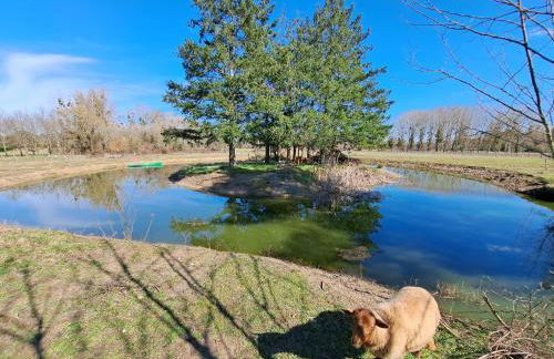 Le Bonheur est dans le Pré. - Foto 19