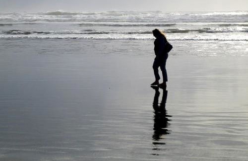 The Grey Gull - Foto 118