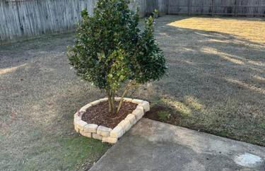 Just like home! - Foto 10